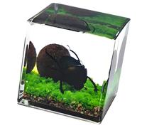 JSGHGDF Clear Acrylic Specimens Cube with 4Cm and 5Cm Size Nature Discovery Learning Tool for Study and Home Decoration Cube