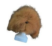 JSGHGDF Dog Grooming Training Head Model with Unstyled Synthetic Fiber Hair Perfect for Pet Breeds Trimming Coloring Practice Dog Grooming Training Model