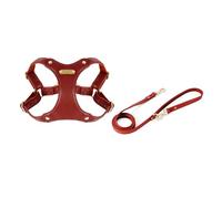 JSGHGDF Dog Vest Harness with Leash Pet Chest Strap Walking Dogs Traction Harness Outdoor Activity