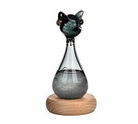 JSGHGDF Egyptian for Cat Weather Forecasting Bottle Animal for Storm