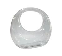 JSGHGDF Fashionable Acrylic Beach Bag Transparent and Practical Evening Clutch Purse with Magnetic Buckle Closure, Clear