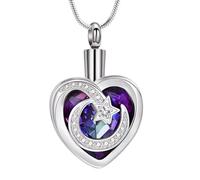 JSGHGDF Heart Cremation Ashes Container Steel Pet Necklace Jewelry Pet Ashes Storage