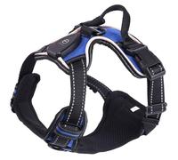 JSGHGDF Multiple Size LED Glowing Pet Harness LED Dog Vest Pet Outdoor Walking for Dog Kitten Night Walking