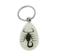 JSGHGDF Resin Insect Keychain Luminous Scorpion Insect Specimen Pendant Scenic Tourist Souvenirs Amber Keychain Trendy Jewelry