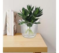 Jsnwernb Decorative Vases for Home Decor | Water Plant Vase - Water Plant Container for Balcony Kitchen Event Staging Bridal Shower Photo Backdrop Restaurant Wedding Centerpiece