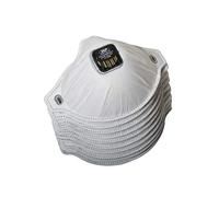 JSP - Filterspec Replacement FMP3V Filters (Pack of 10) (JSP ASG03B-101-100)