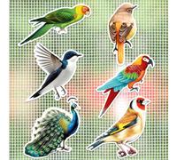 JSRQT Magnetic Screen Door Decals 12 Pieces Screen Door Magnets Hummingbird Peacock Double Sided Screen Door Protector for Sliding Door Window Pets Screen Sticker Decorative Safe Flexible Bird Magnet