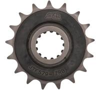 JTSPROCKETS JTF579.17RB Chain Pinion