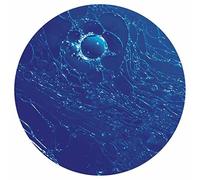 JT The Goon - Oil On Ice EP [12" VINYL] [12" VINYL]
