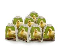 JTKBNVM 8 PCS Muslin Bags Cute Ducks Drawstring Gift Bags Reusable Sachet Bag for Spice Empty Small Burlap Gift Pouches for Cooking Jewelry Tea