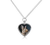 JTKBNVM A Brown Rabbit Pet Cremation Jewelry for Ashes Waterproof Urn Necklace with Filling Kit Heart Pendant Ash Necklace Memorial Keepsake Jewelry Custom Sympathy Gift for Dog Cat Human Ashes