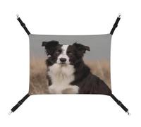 JTKBNVM Border Collie Cat Hammock Pet Hammock Ferret Hammock Cat Hammock for Large Cats Hamster Hammock Soft Hanging Bed Cat Hammock Hanging Cat Hammock Bed