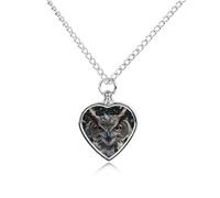 JTKBNVM Feathers And Owl Pet Cremation Jewelry for Ashes Waterproof Urn Necklace with Filling Kit Heart Pendant Ash Necklace Memorial Keepsake Jewelry Custom Sympathy Gift for Dog Cat Human Ashes