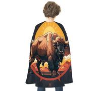 JTKBNVM Halloween American Bison Cloak Adults Reversible Blue & Red Medieval Cape for Cosplay Party Costume Dress Up