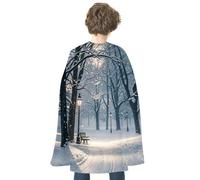JTKBNVM Halloween Winter Snow Falling in The Park Cloak Adults Reversible Blue & Red Medieval Cape for Cosplay Party Costume Dress Up