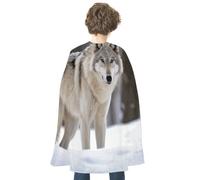 JTKBNVM Halloween Wolf in The Snow Cloak Adults Reversible Blue & Red Medieval Cape for Cosplay Party Costume Dress Up