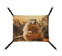 JTKBNVM Hand Drawn Groundhog Cat Hammock Pet Hammock Ferret Hammock Cat Hammock for Large Cats Hamster Hammock Soft Hanging Bed Cat Hammock Hanging Cat Hammock Bed
