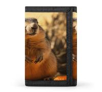 JTKBNVM Hand Drawn Groundhog Trifold Wallet Trifold Wallets for Men Women Slim Wallet Mens Wallet Trifold Front Pocket Wallet | Versatile Wallets with 8 Credit Card Holder, style, One Size