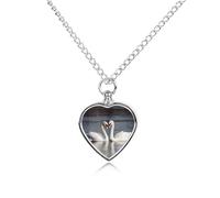JTKBNVM Romantic White Swan Pet Cremation Jewelry for Ashes Waterproof Urn Necklace with Filling Kit Heart Pendant Ash Necklace Memorial Keepsake Jewelry Custom Sympathy Gift for Dog Cat Human Ashes