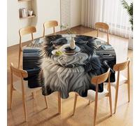 JTKBNVM Round Tablecloth 60 Inch | Stain Wrinkle Resistant Border Collie Dog Table Cloth for Dining Kitchen Tables Washable Table Cover for Wedding Party Banquet Decoration