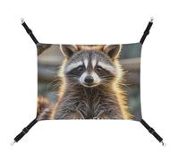 JTKLQBN 16.9 X 13 Inches Hanging Pet Hammock Cute Raccoon Printed Bed Soft Pet Mat with Adjustable Straps Breathable Hanmock for Cats Ferret Small Dogs Rabbits