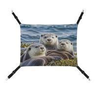 JTKLQBN 16.9 X 13 Inches Hanging Pet Hammock Sea Otter Family Printed Bed Soft Pet Mat with Adjustable Straps Breathable Hanmock for Cats Ferret Small Dogs Rabbits