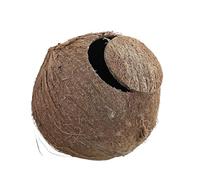 JTKSSCS Coconut Shell Coconut Shell Bird Nest Hamster House Hut Cage For Parrot Budgies Parakeet Animals Pet Supplies