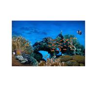 JTKSSCS Fish Tank Background Aquarium Background Sticker Blue Submarine Coral Poster Decoration Self Adhesive Wallpaper Background(54x122cm)