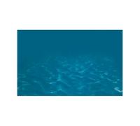 JTKSSCS Fish Tank Background Fish Tank Background Sticker Undersea Landscape Wallpaper Aquarium Backdrop Decorations PVC(BLUE4,54x122cm)