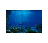 JTKSSCS Fish Tank Background Fish Tank Background Sticker Undersea Landscape Wallpaper Aquarium Backdrop Decorations PVC(BLUE3,50x80cm)