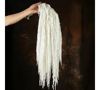 Jtoder 5Pcs Dried Amaranthus Hanging Flowers, Natural Preserved Flower for Wedding Arch, Exhibition, Wall Hanging Lover Tears, Floral Arrangement, Home Decor (White, 24")