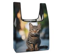 JTREHY Brown Tabby Kitten Shopping Bag Premium Fashion Foldable Grocery Bags Anti-cracking Waterproof Durable Totes for Women Travel, Gym Office Beach Gear