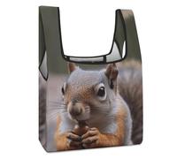 JTREHY Cute Squirrel Shopping Bag Premium Fashion Foldable Grocery Bags Anti-cracking Waterproof Durable Totes for Women Travel, Gym Office Beach Gear