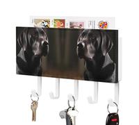 JTREHY Holder Wall-Mounted Key and Mail Holder, Black Labrador Printed Adhesive Key Rack with 5Key Hooks, Easy to Install Mail Organizer for Entryway, Front Door, Hallway, Office