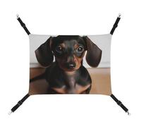 JTREHY Pet Hammock,Cute Wiener Sausage Dog Printed Adjustable Hanging Cat Bed for Cats Small Dogs Rabbits Or Other Small Animals with Metal Hooks