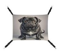 JTREWBV Small Animal Hanging Hammock Cute Black Pug Dog Print Hanging Pet Hammocks Cage Hammock Beds with Adjustable Straps And Metal Hooks