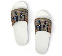 JTREWBV Summer Slippers for Women And Men African Elephant Print PVC Home Slippers Shower Shoes Bathroom Sandals, Non-Slip, Easy to Clean