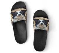 JTREWBV Summer Slippers for Women And Men Cute Border Collie Print PVC Home Slippers Shower Shoes Bathroom Sandals, Non-Slip, Easy to Clean
