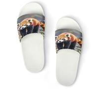 JTREWBV Summer Slippers for Women And Men Little Red Panda Animal Print PVC Home Slippers Shower Shoes Bathroom Sandals, Non-Slip, Easy to Clean
