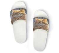 JTREWBV Summer Slippers for Women And Men Orange Cats Print PVC Home Slippers Shower Shoes Bathroom Sandals, Non-Slip, Easy to Clean