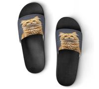 JTREWBV Summer Slippers for Women And Men Orange Cats Print PVC Home Slippers Shower Shoes Bathroom Sandals, Non-Slip, Easy to Clean