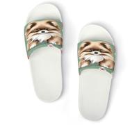 JTREWBV Summer Slippers for Women And Men Pomeranians Puppies Print PVC Home Slippers Shower Shoes Bathroom Sandals, Non-Slip, Easy to Clean