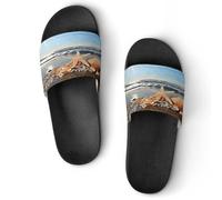 JTREWBV Summer Slippers for Women And Men Seashells on The Beach Print PVC Home Slippers Shower Shoes Bathroom Sandals, Non-Slip, Easy to Clean