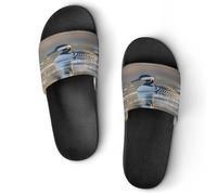 JTREWBV Summer Slippers for Women And Men Wild Goose by The Bridge Print PVC Home Slippers Shower Shoes Bathroom Sandals, Non-Slip, Easy to Clean