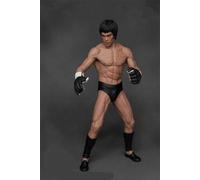 jtsgwop Kpptyd 19CM Anime Storm Commemorative Edition China Kung Fu Master PVC Action Figure Model Standing Adult Toy Statue Ornament Gifts Collectible