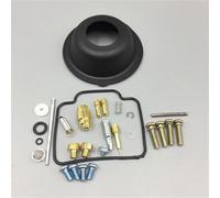 JTWMTY Carburetor Overhaul Kits Motorcycle Single Cylinder Engine BST31 Carburetor Repair Kit For Suzuki DR200 DR200S/DR200SE 1996~2017(Style 3)