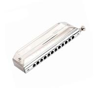 JTYUERWQ Beginners harmonica Titanium Alloy Comb Chromatic Harmonica 12 Hole Key Of C Mouth Organ For Adults Virtuoso