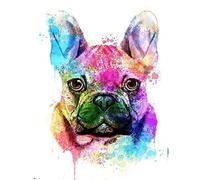 Juan-375 Fine DIY diamond painting French bulldog full square round diamond cross stitch 5D diamond embroidery mosaic art animal dog pet for Home Cafe (Size : Round Drill 30X40cm)