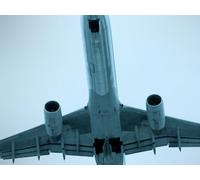 Juan Carlos Guzman-Betancourt - Globe-trotting Trickster