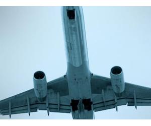 Juan Carlos Guzman-Betancourt - Globe-trotting Trickster